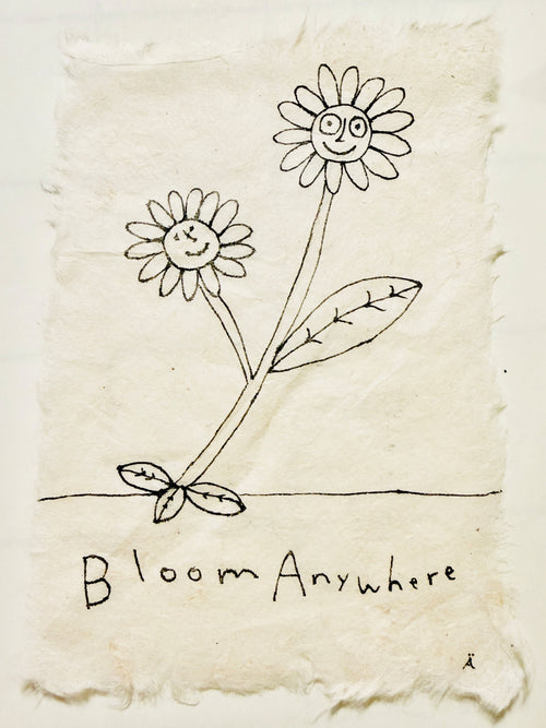 Bloom Anywhere